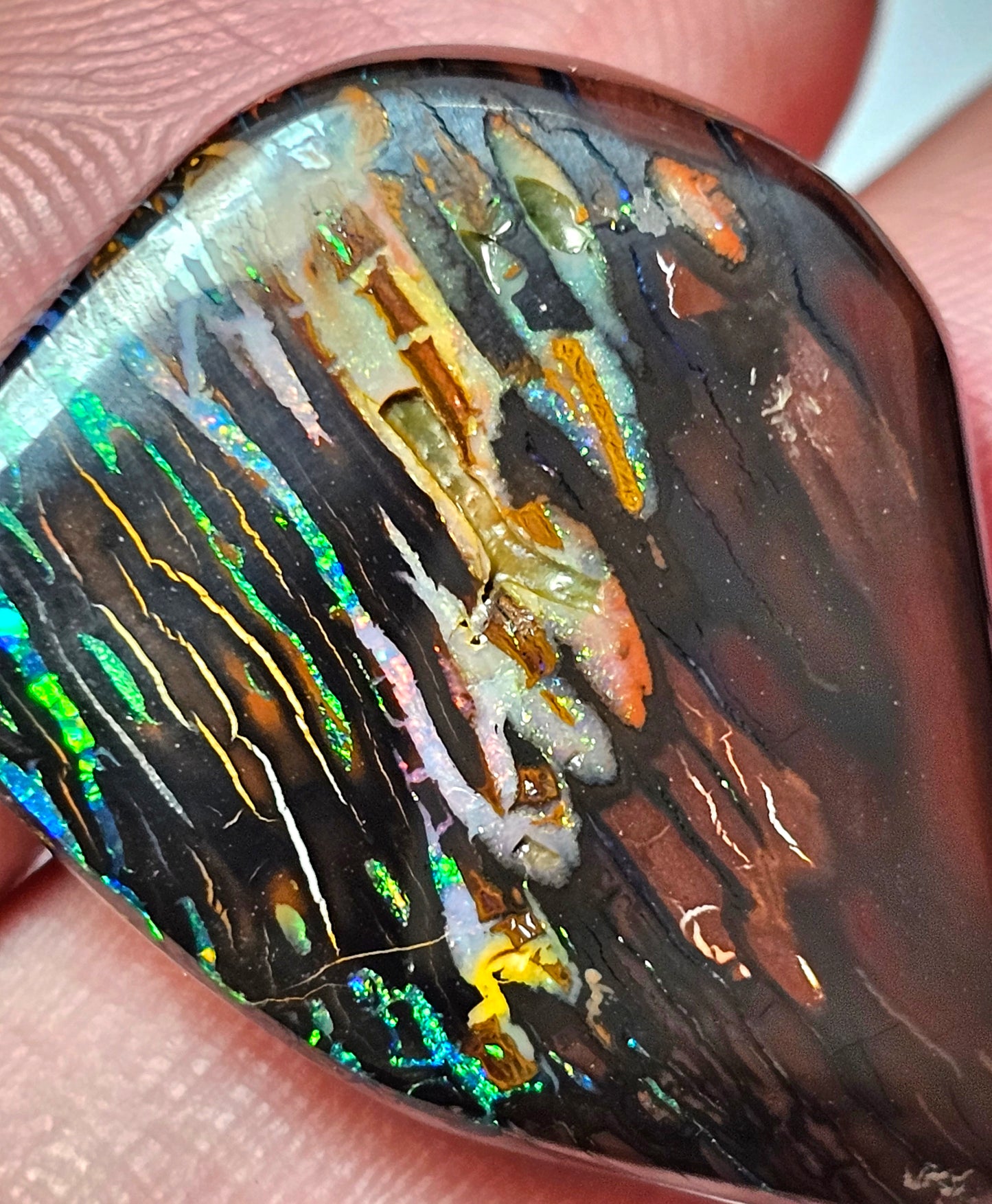 45cts Koroit Nut Boulder Opal with a Spectacular Pattern!!(JSMD11)
