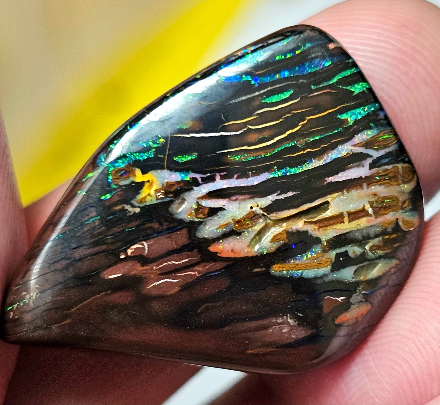 45cts Koroit Nut Boulder Opal with a Spectacular Pattern!!(JSMD11)