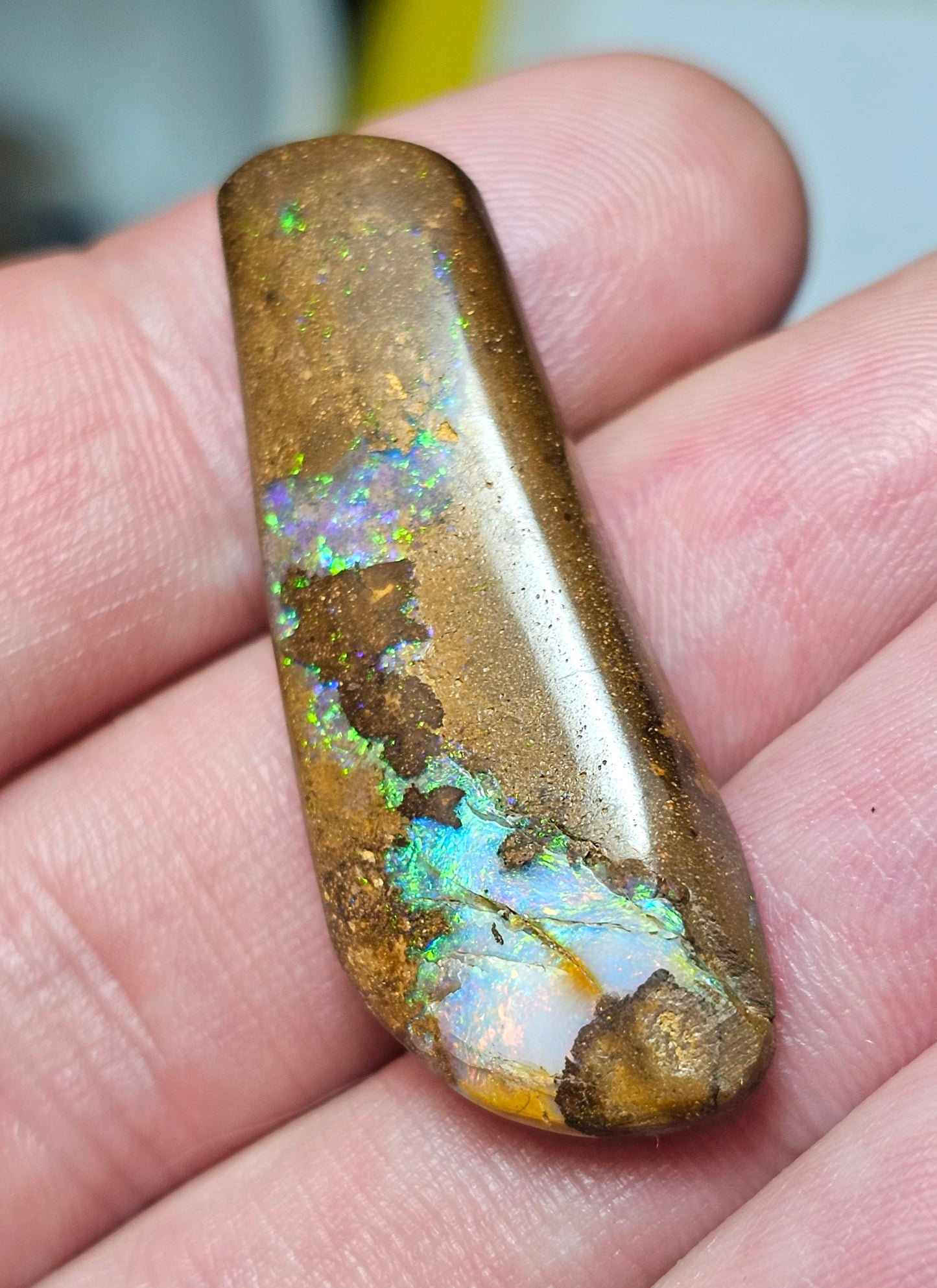 31cts BeautifulBoulderOpal (JSMD17)