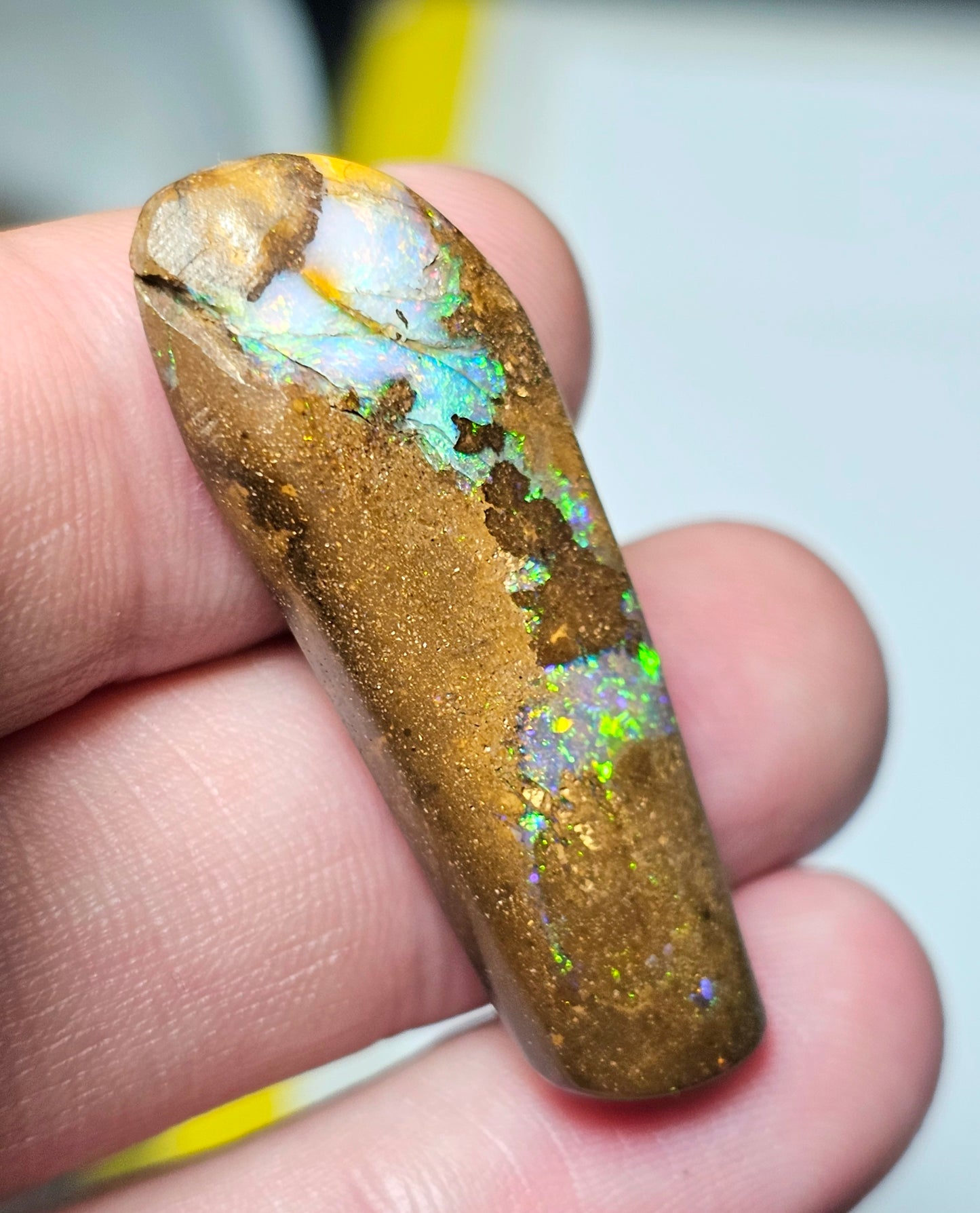 31cts BeautifulBoulderOpal (JSMD17)