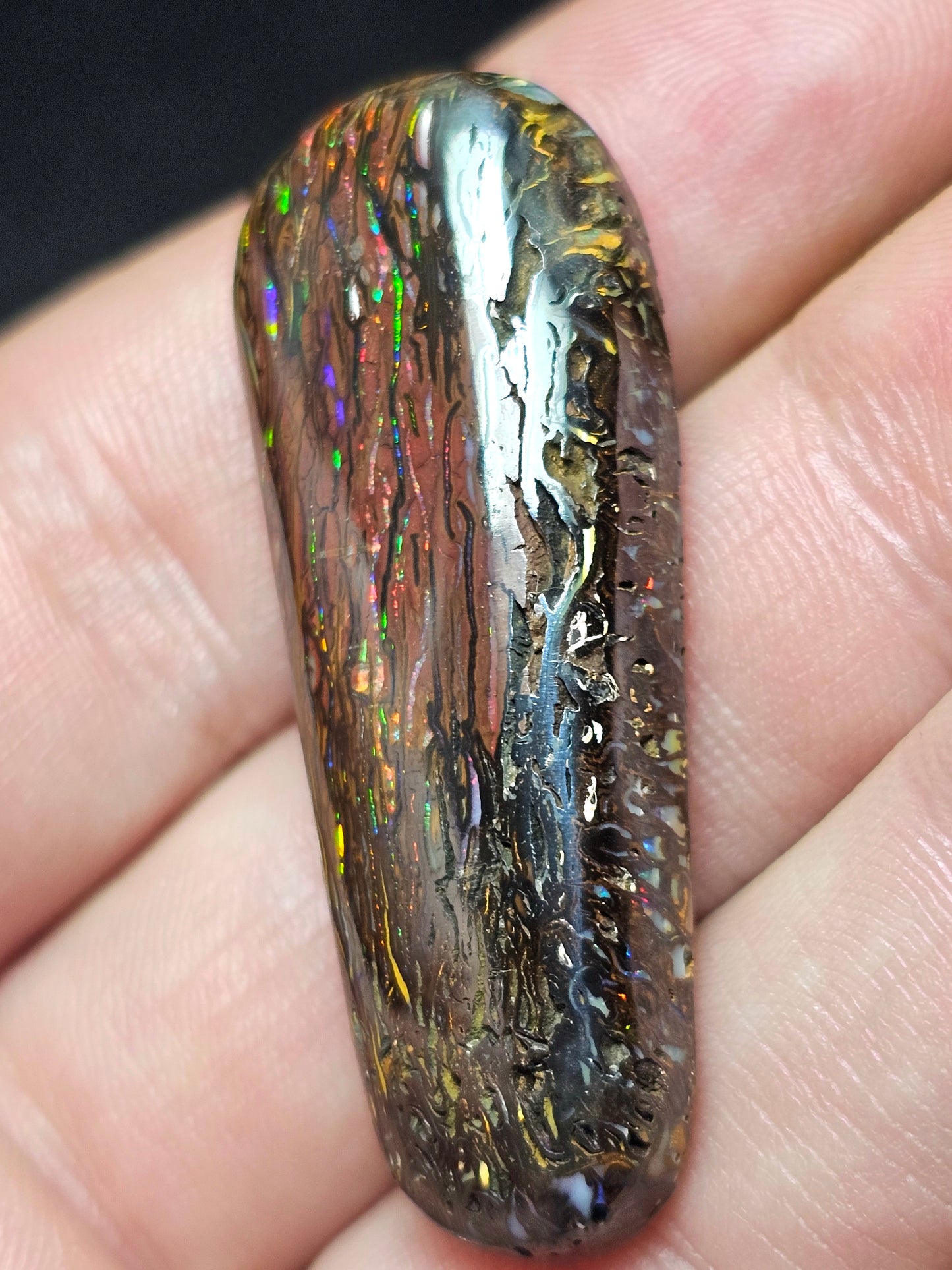 65cts Koroit Nut Boulder Opal with a Spectacular Pattern!!(JSMD20)