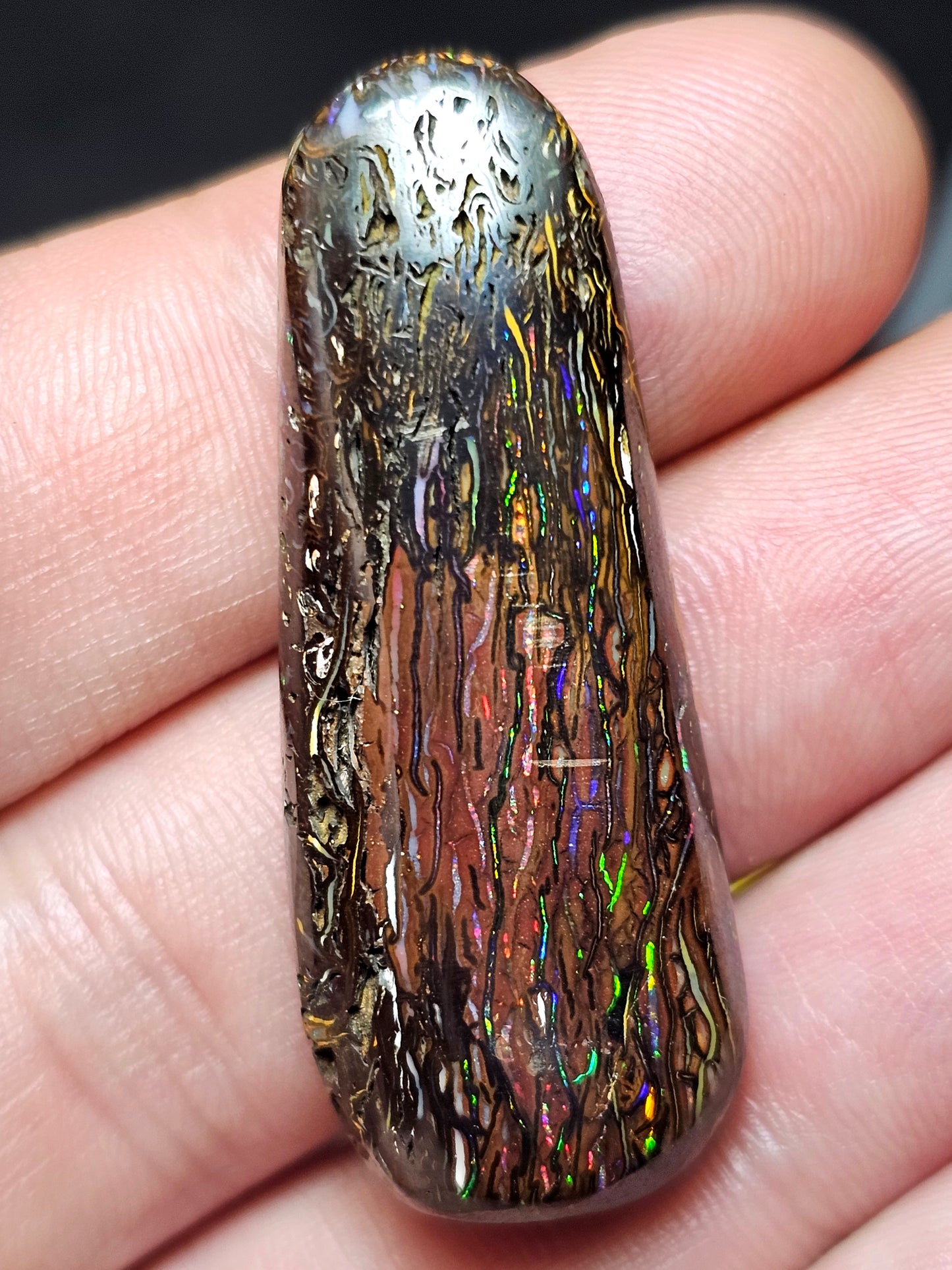 65cts Koroit Nut Boulder Opal with a Spectacular Pattern!!(JSMD20)