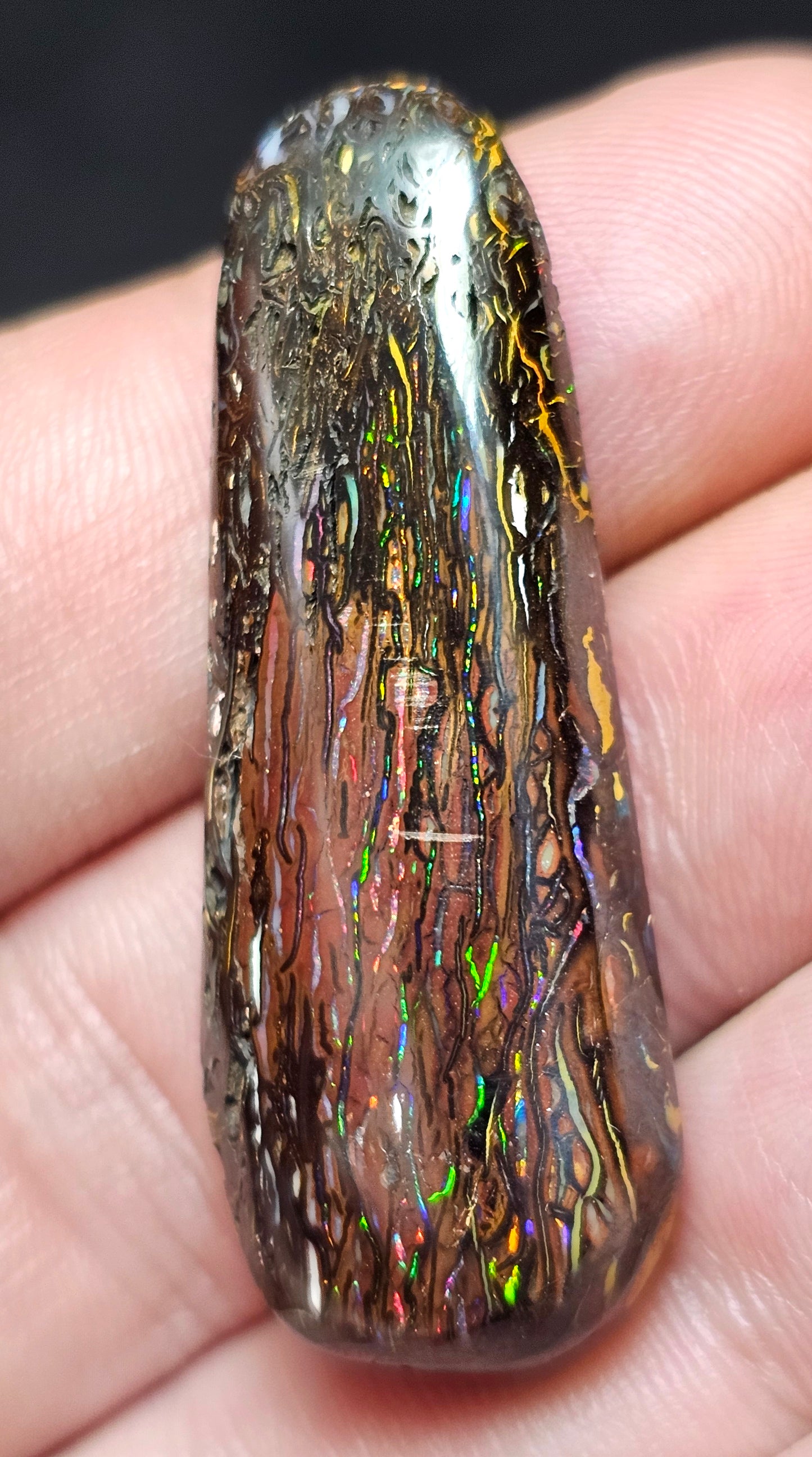 65cts Koroit Nut Boulder Opal with a Spectacular Pattern!!(JSMD20)