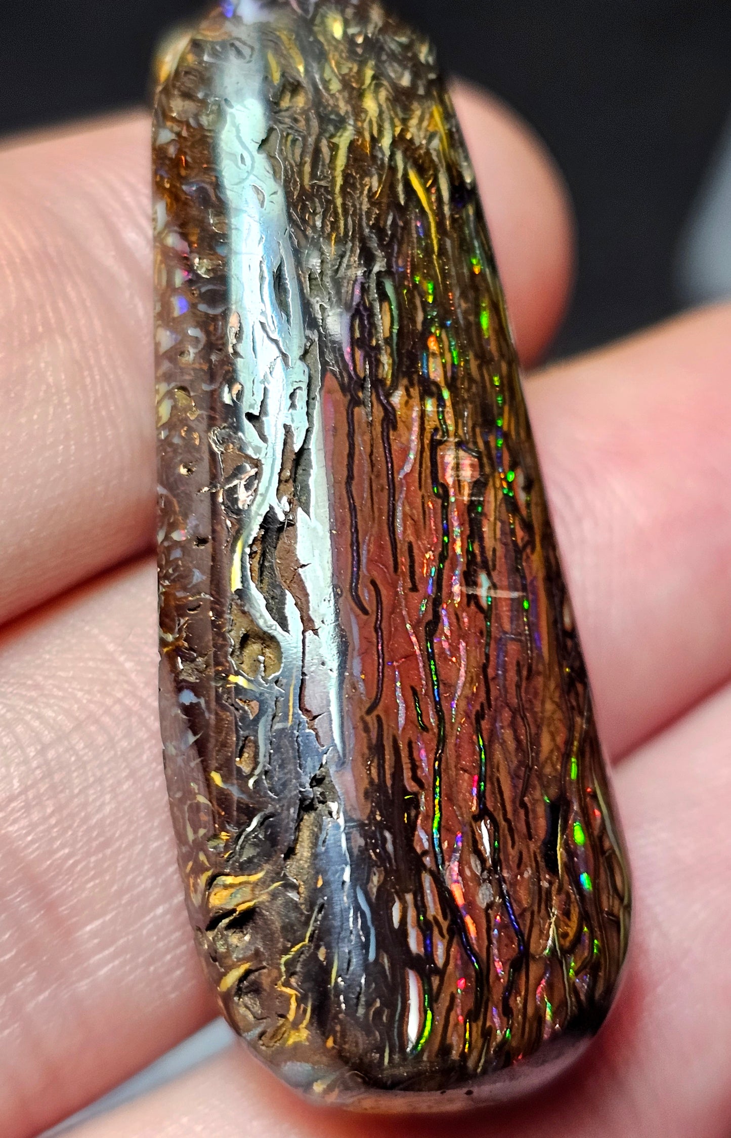 65cts Koroit Nut Boulder Opal with a Spectacular Pattern!!(JSMD20)