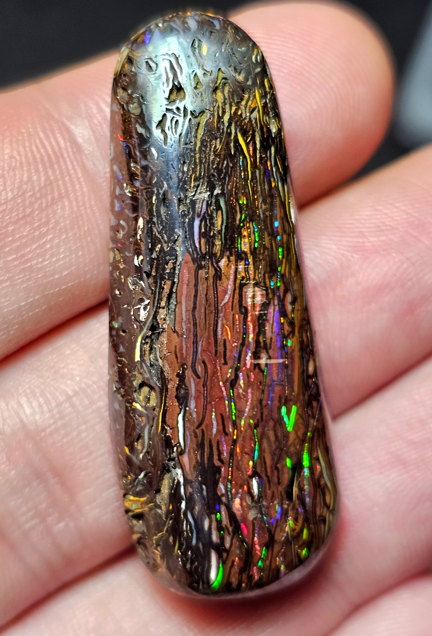 65cts Koroit Nut Boulder Opal with a Spectacular Pattern!!(JSMD20)