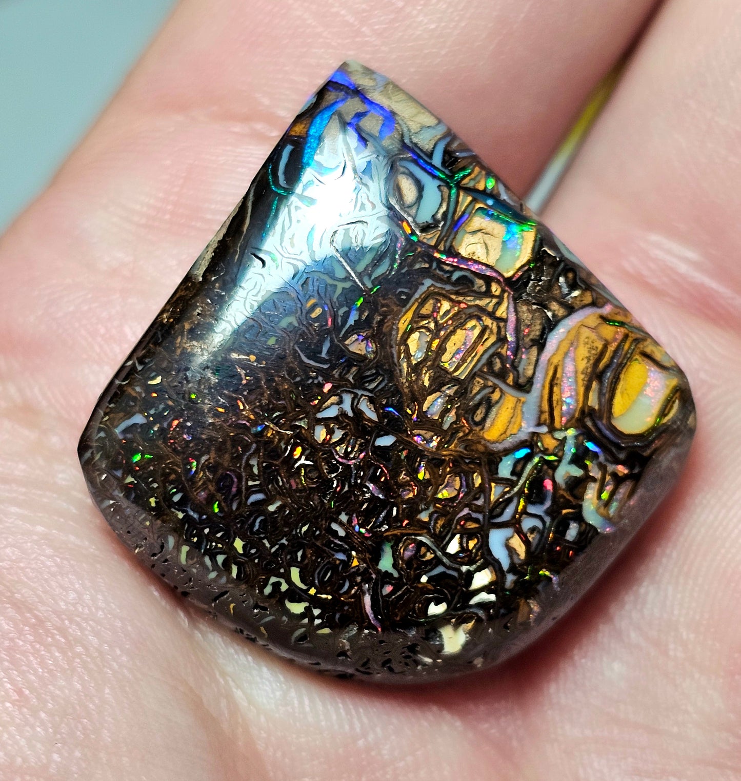 56cts Koroit Nut Boulder Opal with a Spectacular Pattern!!(JSMD21)