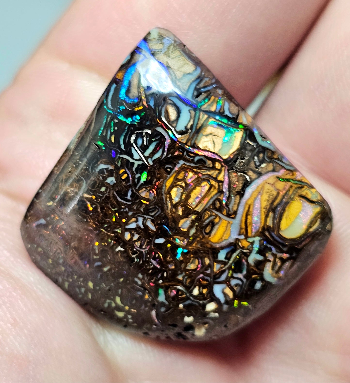 56cts Koroit Nut Boulder Opal with a Spectacular Pattern!!(JSMD21)