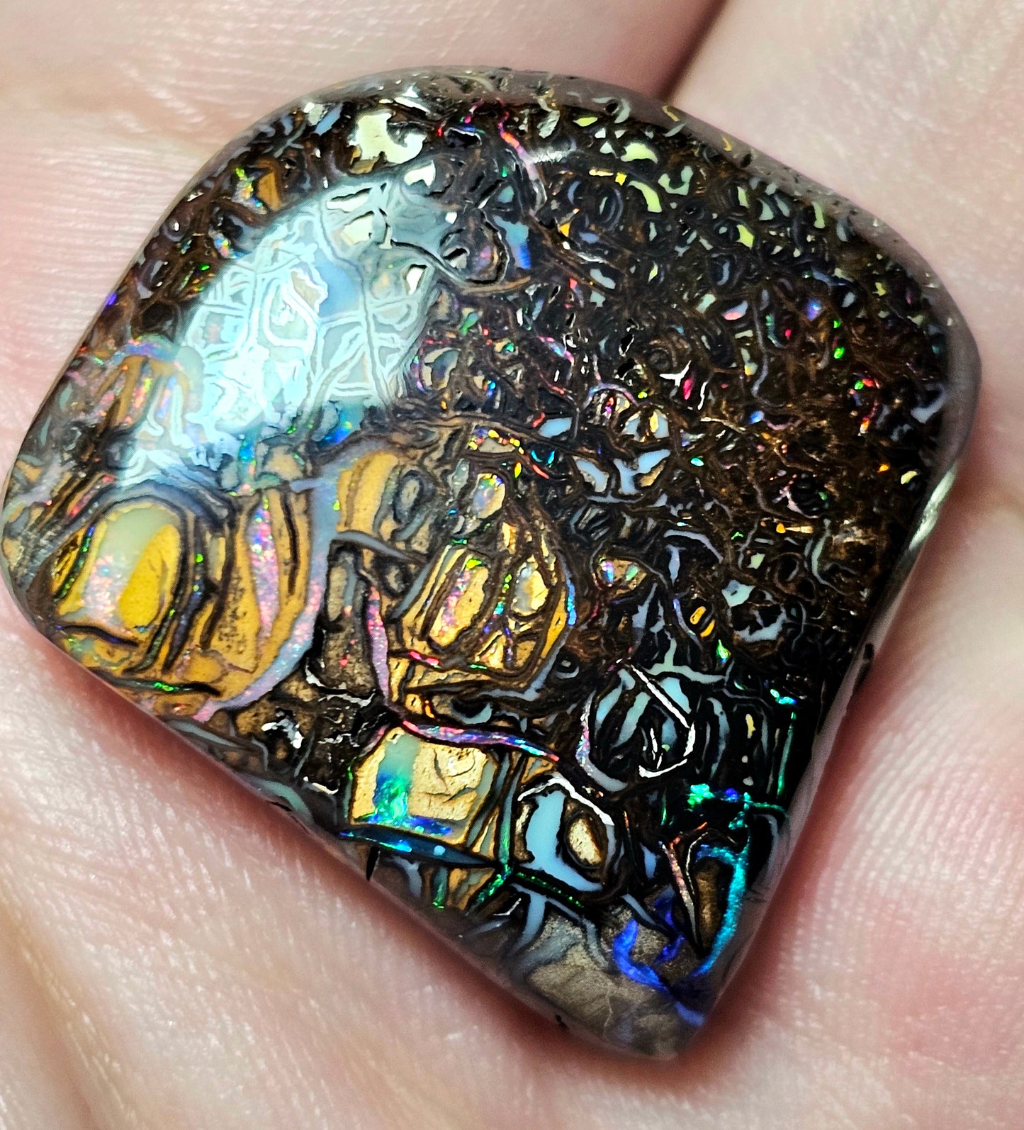 56cts Koroit Nut Boulder Opal with a Spectacular Pattern!!(JSMD21)