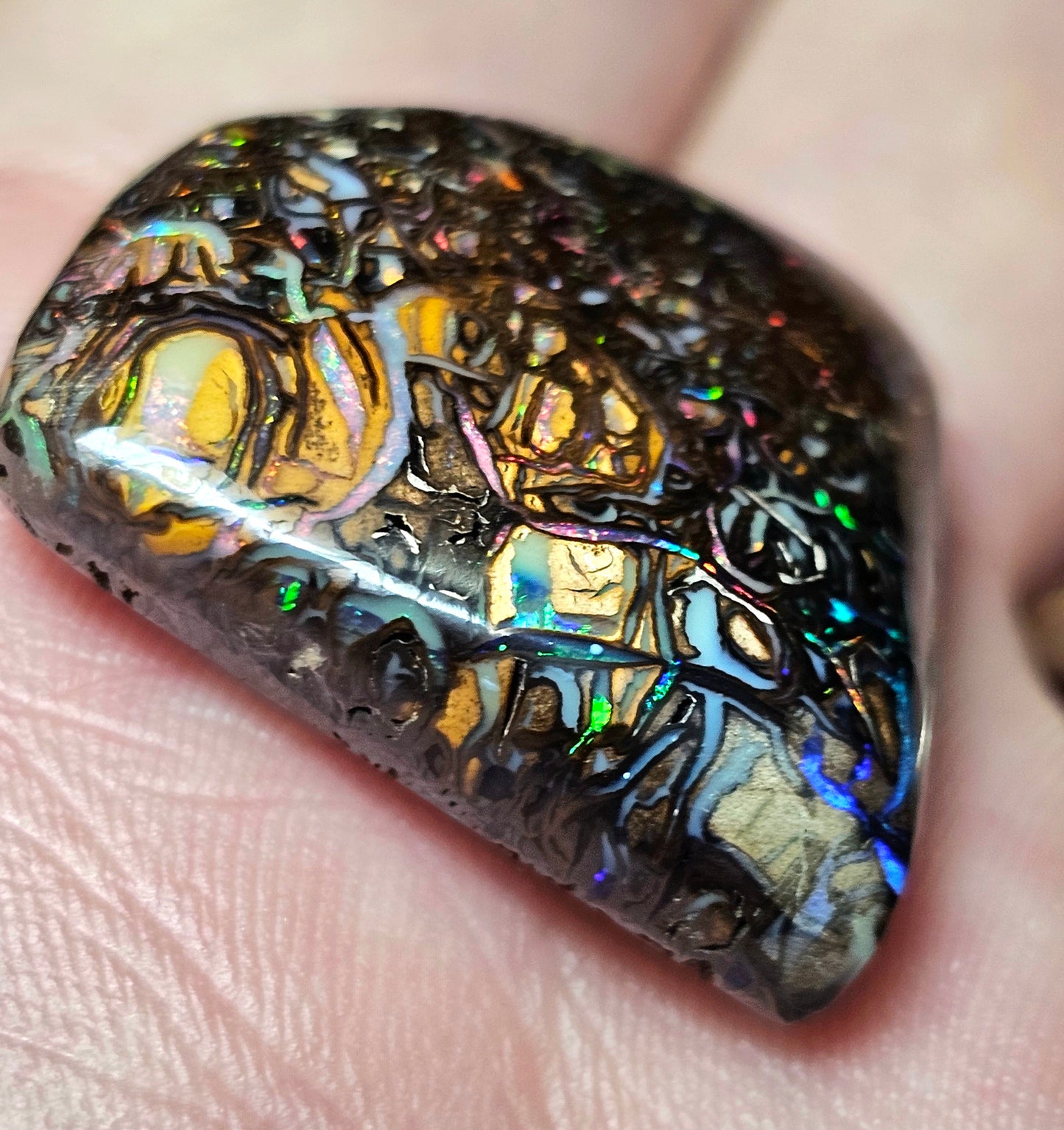 56cts Koroit Nut Boulder Opal with a Spectacular Pattern!!(JSMD21)