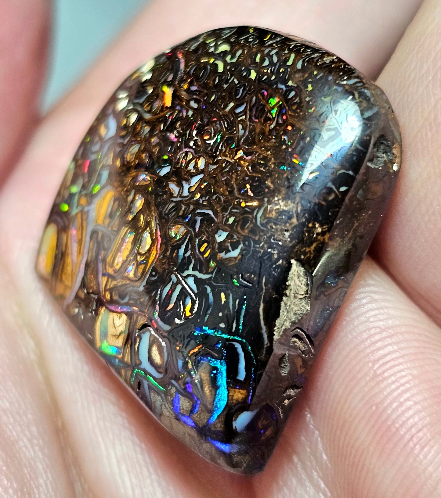 56cts Koroit Nut Boulder Opal with a Spectacular Pattern!!(JSMD21)