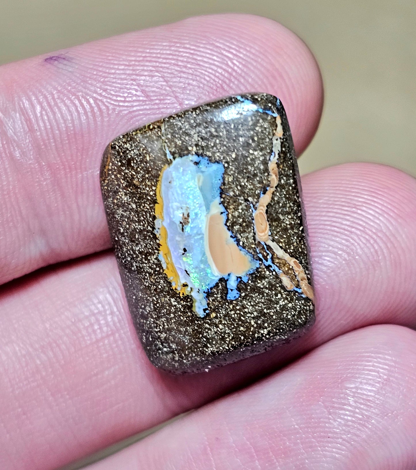 22cts Pretty Boulder Opal with Caramel colour on top(Monthly Special)(NBM31)