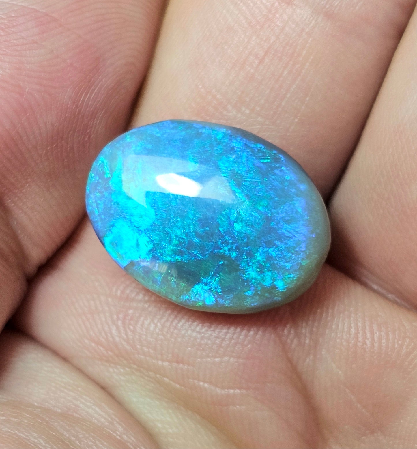 Big Black Opal!! Investment Stone! (FB63)