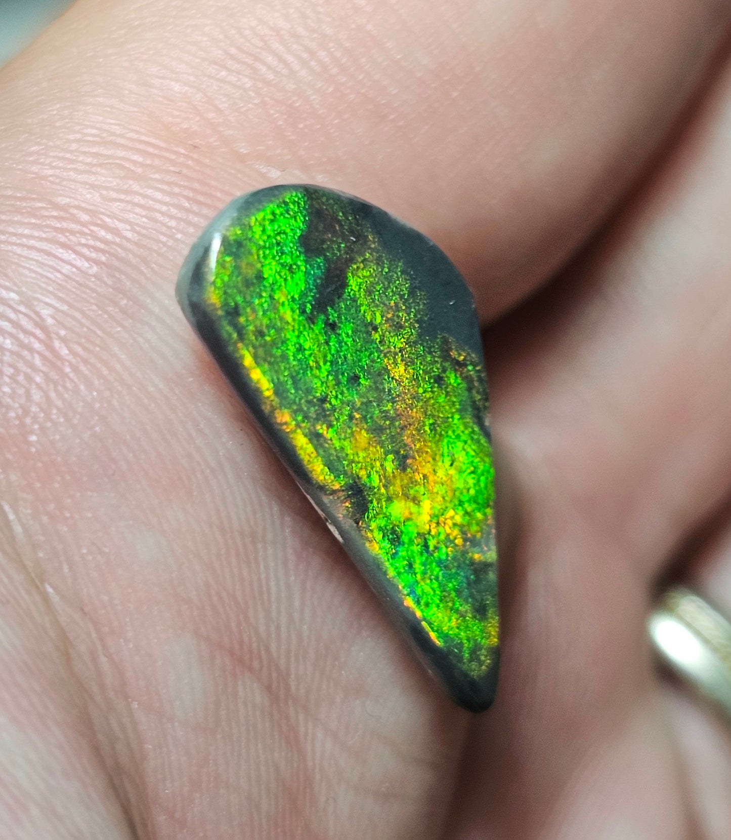 5cts Magical Black Opal from Lightning Ridge! (ALR37)