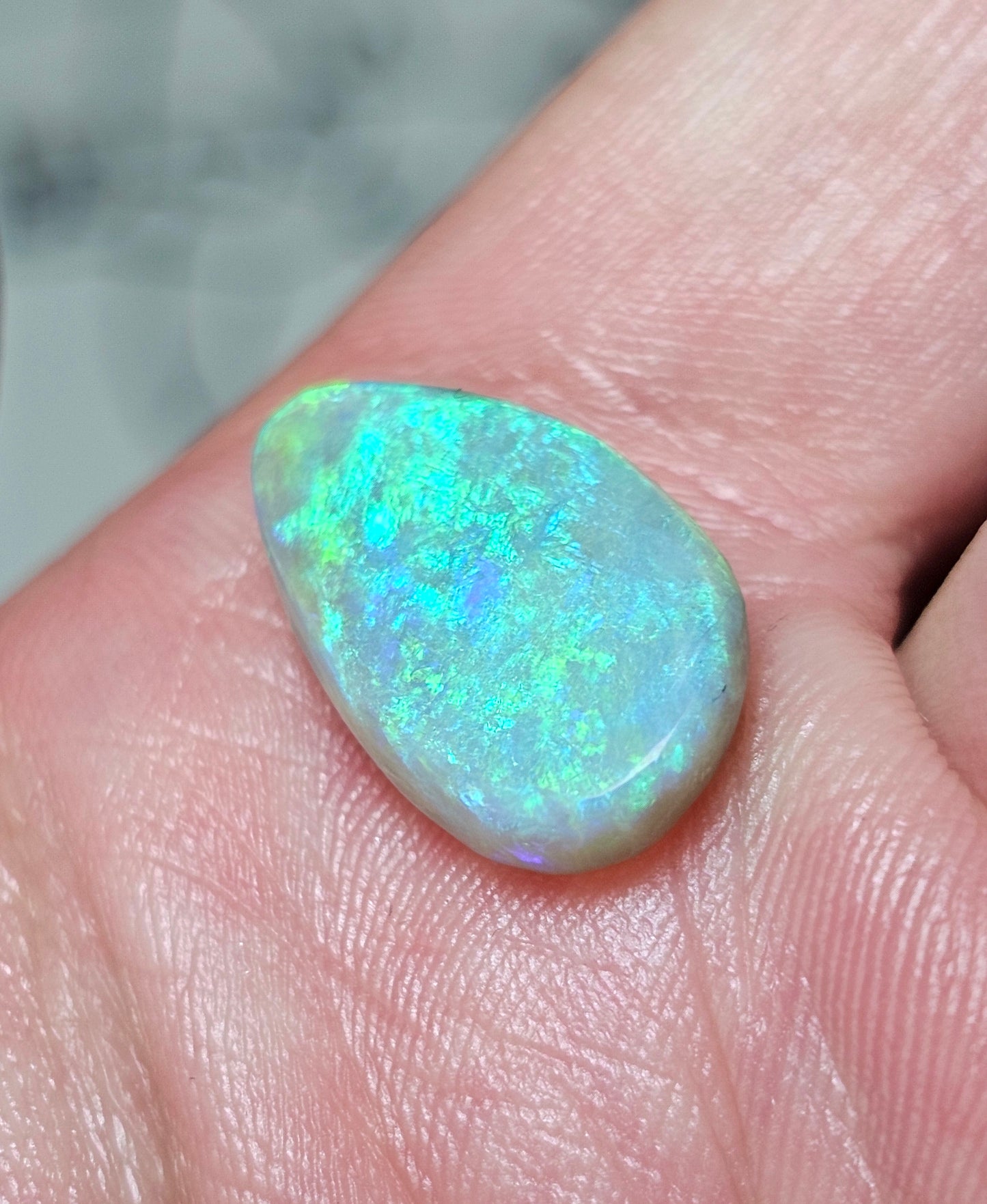 6.50 Coral Green Opal from Lightning Ridge! (ALR39)