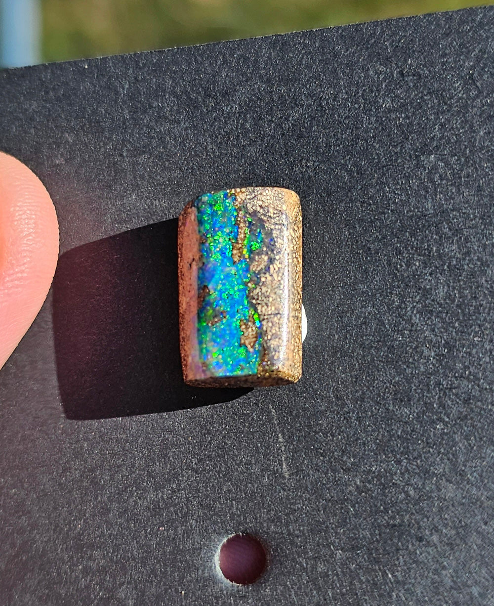 Queensland Boulder Pipe Opal(J29)