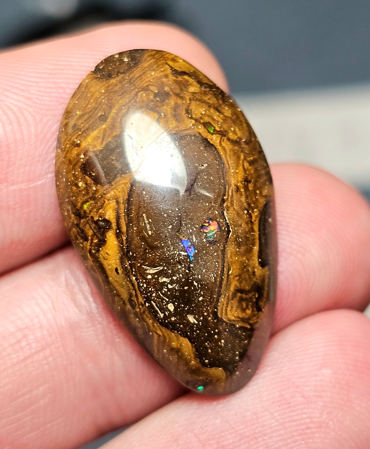 Classy Boulder Opal! (MAT102)