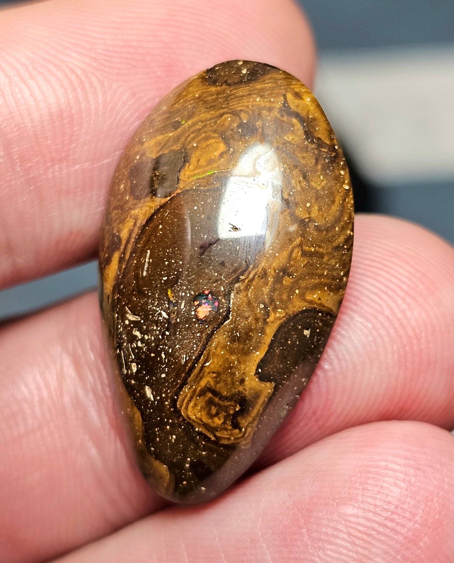 Classy Boulder Opal! (MAT102)