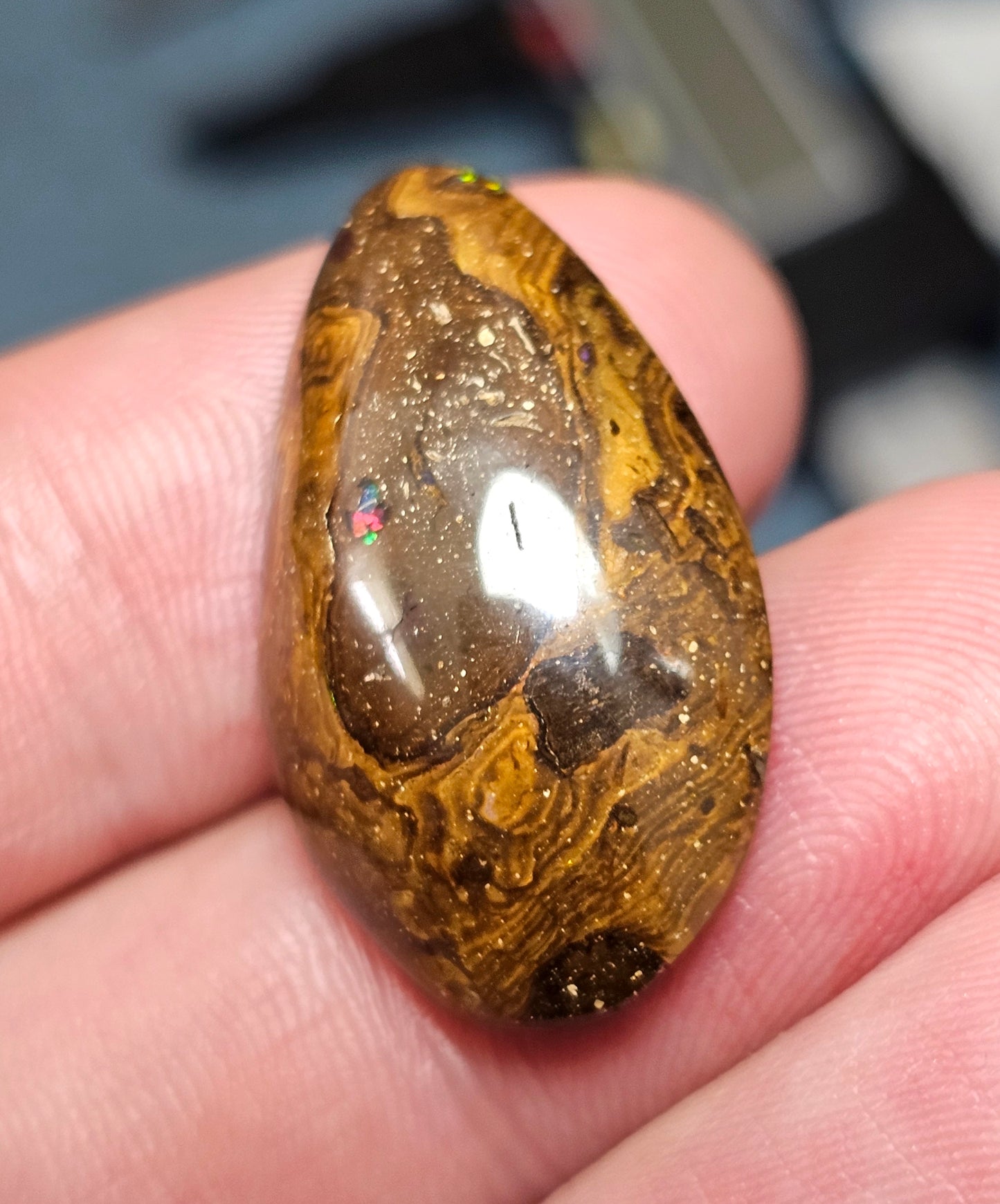 Classy Boulder Opal! (MAT102)