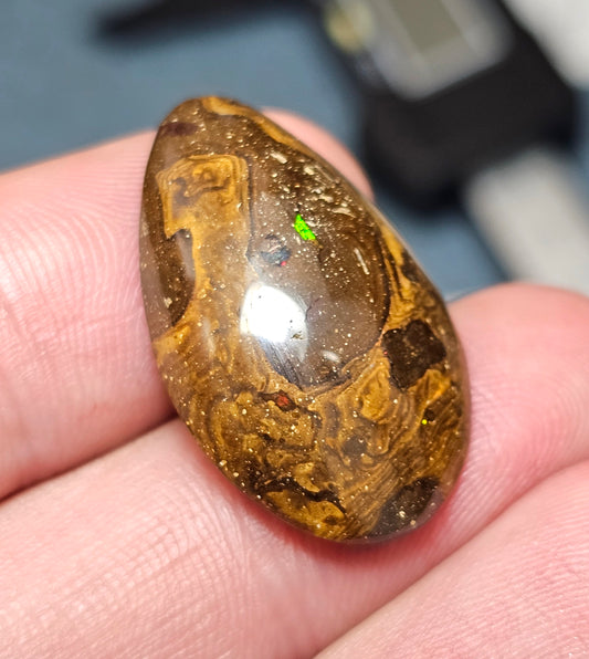 Classy Boulder Opal! (MAT102)